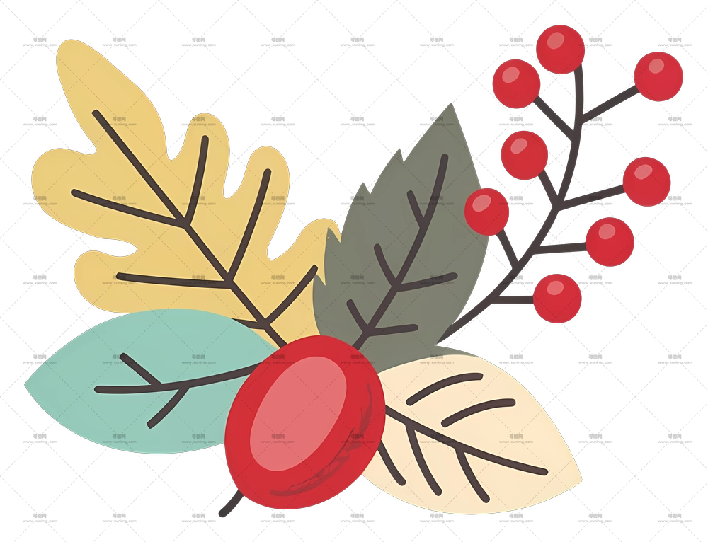 叶饰花束 – 秋叶与浆果插画PNG免抠图预览图