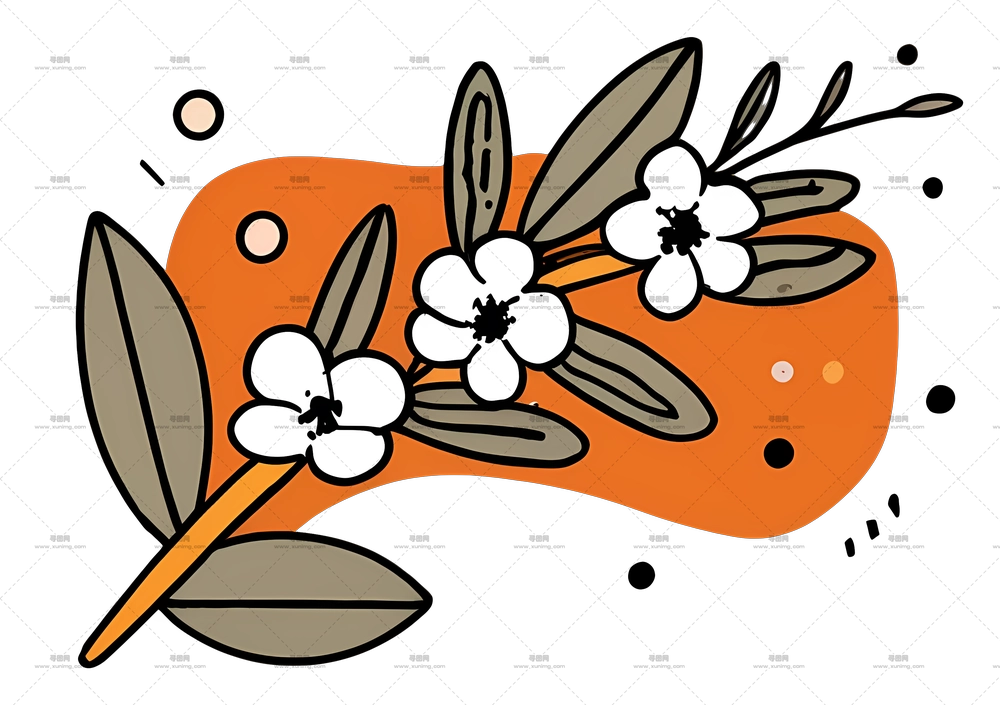 小束花 – 开花枝条插图PNG免抠图预览图