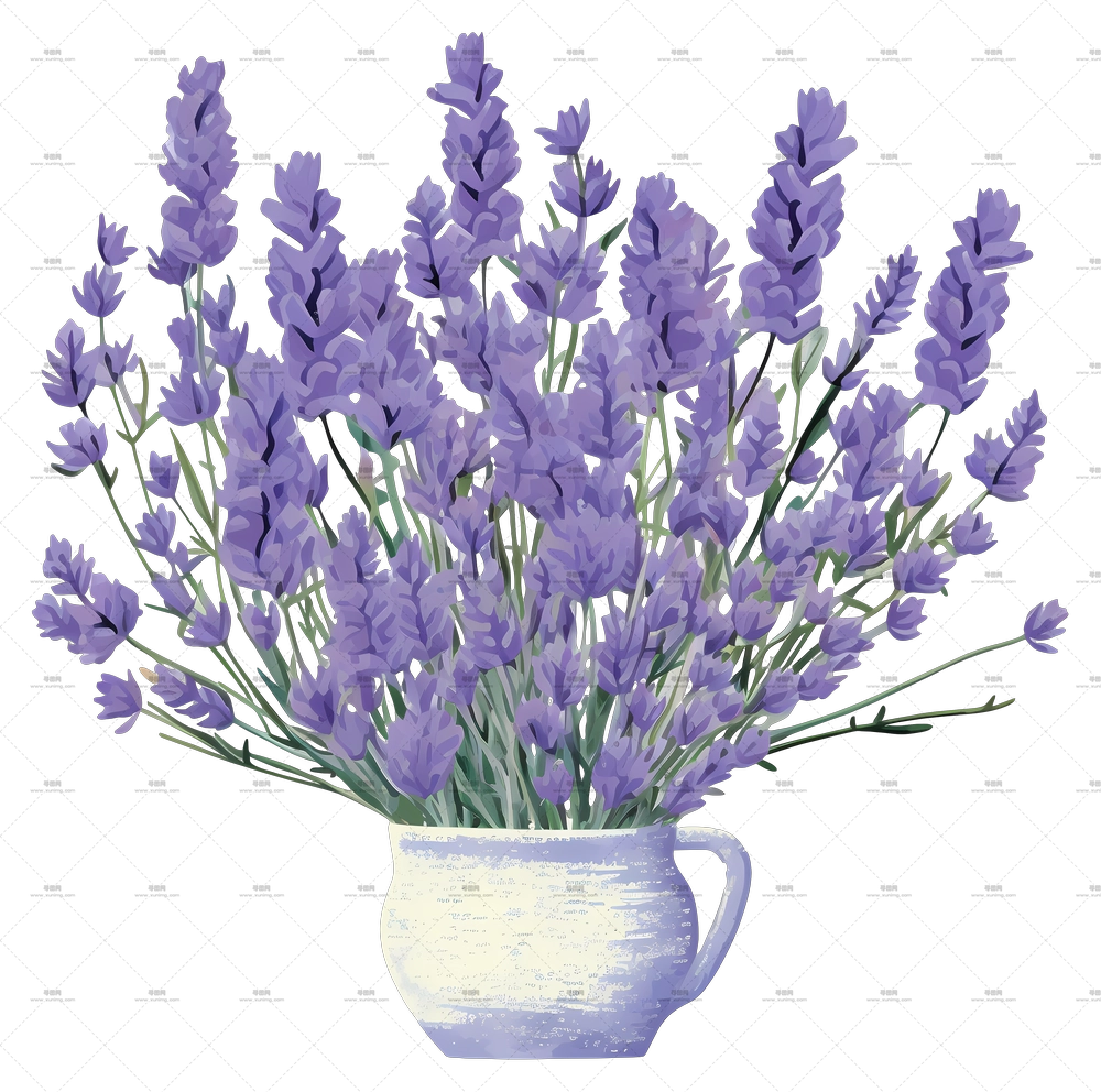 薰衣草花束 – 白杯中的薰衣草PNG免抠图预览图 薰衣草花束 – 白杯中的薰衣草PNG免抠图预览图
