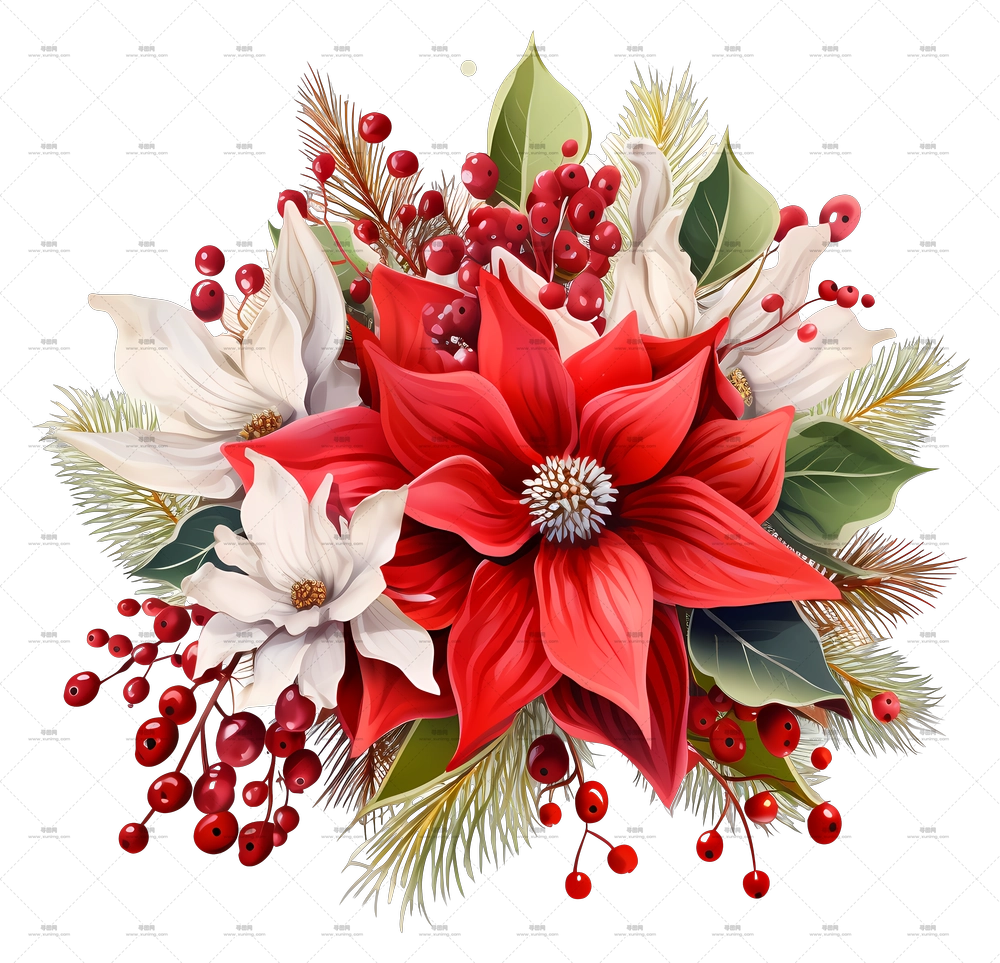 节日花卉布置，带有一品红和浆果PNG免抠图预览图