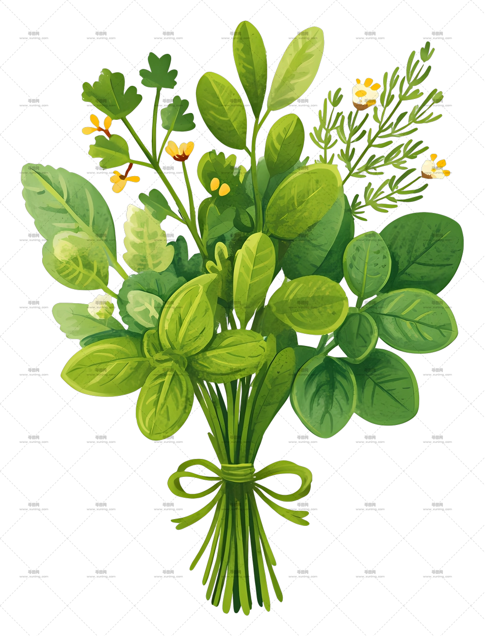 新鲜香草束 – 新鲜香草束PNG免抠图预览图