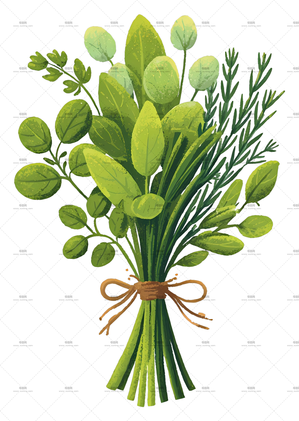 新鲜香草束 – 带麻绳的香草花束PNG免抠图预览图