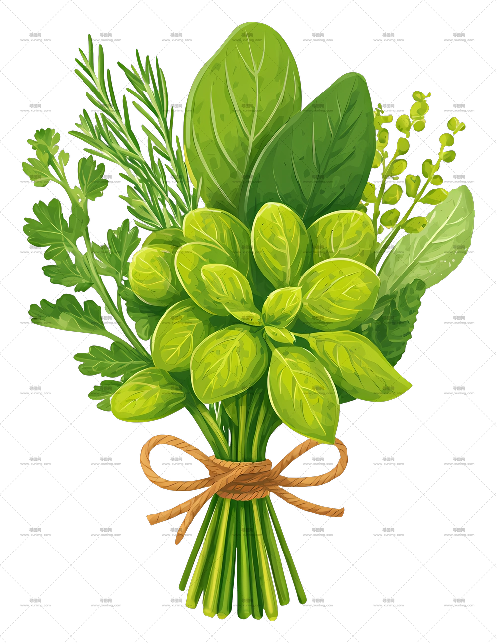 新鲜香草束 – 绿色香草束PNG免抠图预览图