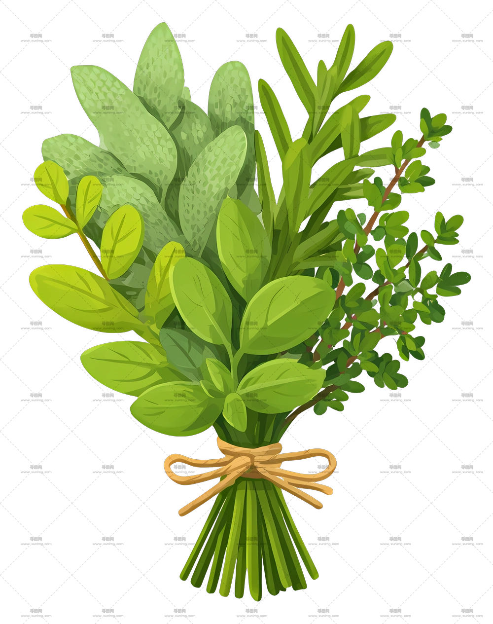 新鲜香草束 – 带麻绳的香草花束PNG免抠图预览图