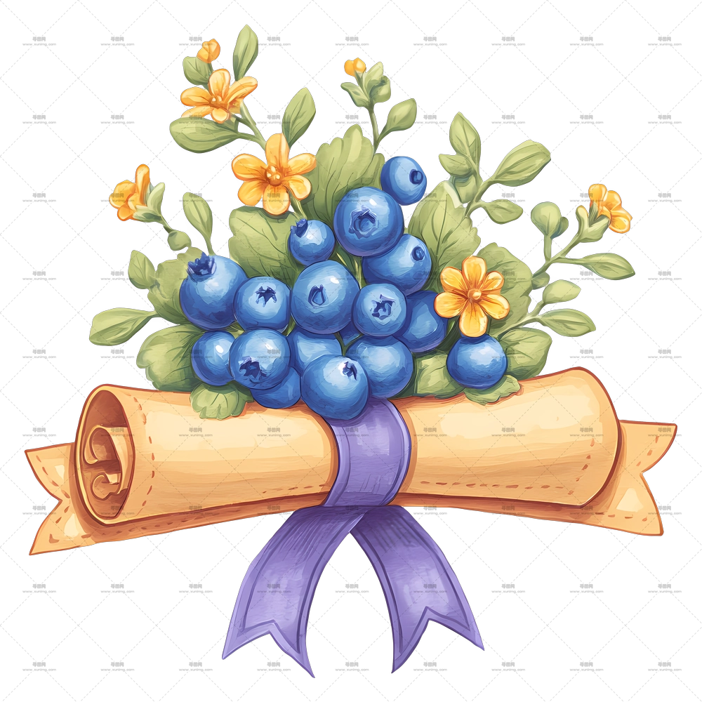 系带文凭 – 蓝莓与花束PNG免抠图预览图
