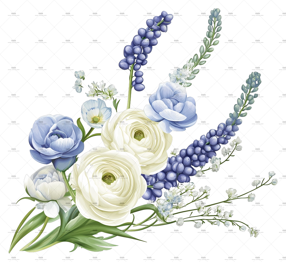 毛茛风信子 – 美丽花束PNG免抠图预览图