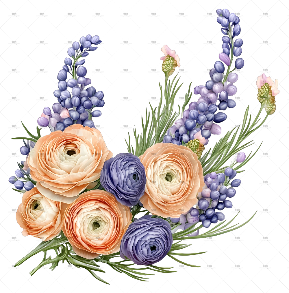 Muscari 角落 – 带有 Ranunculus 和 Lavender 的彩色花束PNG免抠图预览图