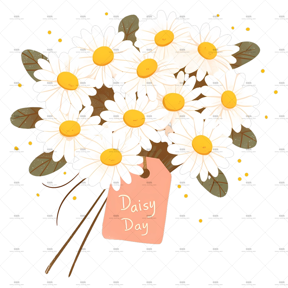 雏菊日 – 雏菊日精美花束PNG免抠图预览图