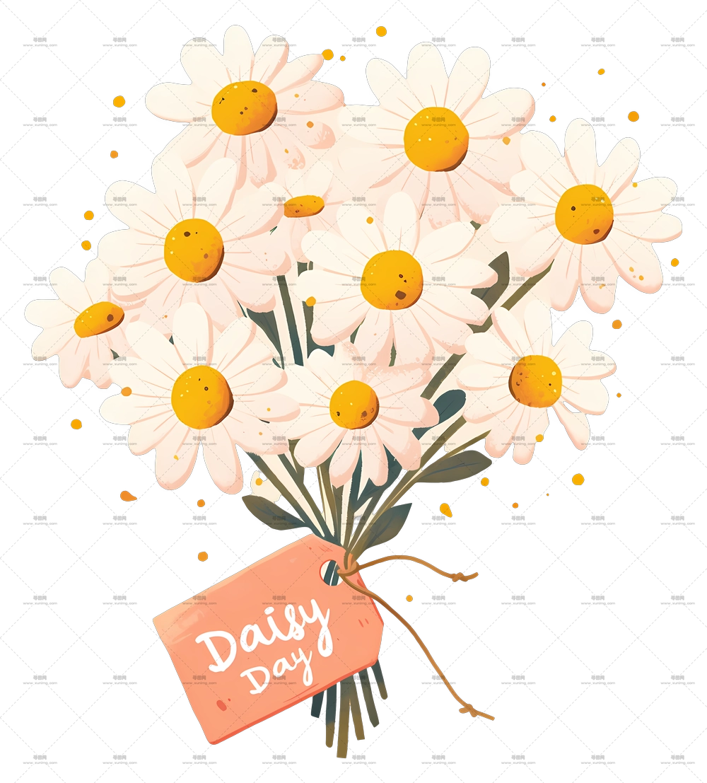 雏菊日 – 雏菊日花束PNG免抠图预览图