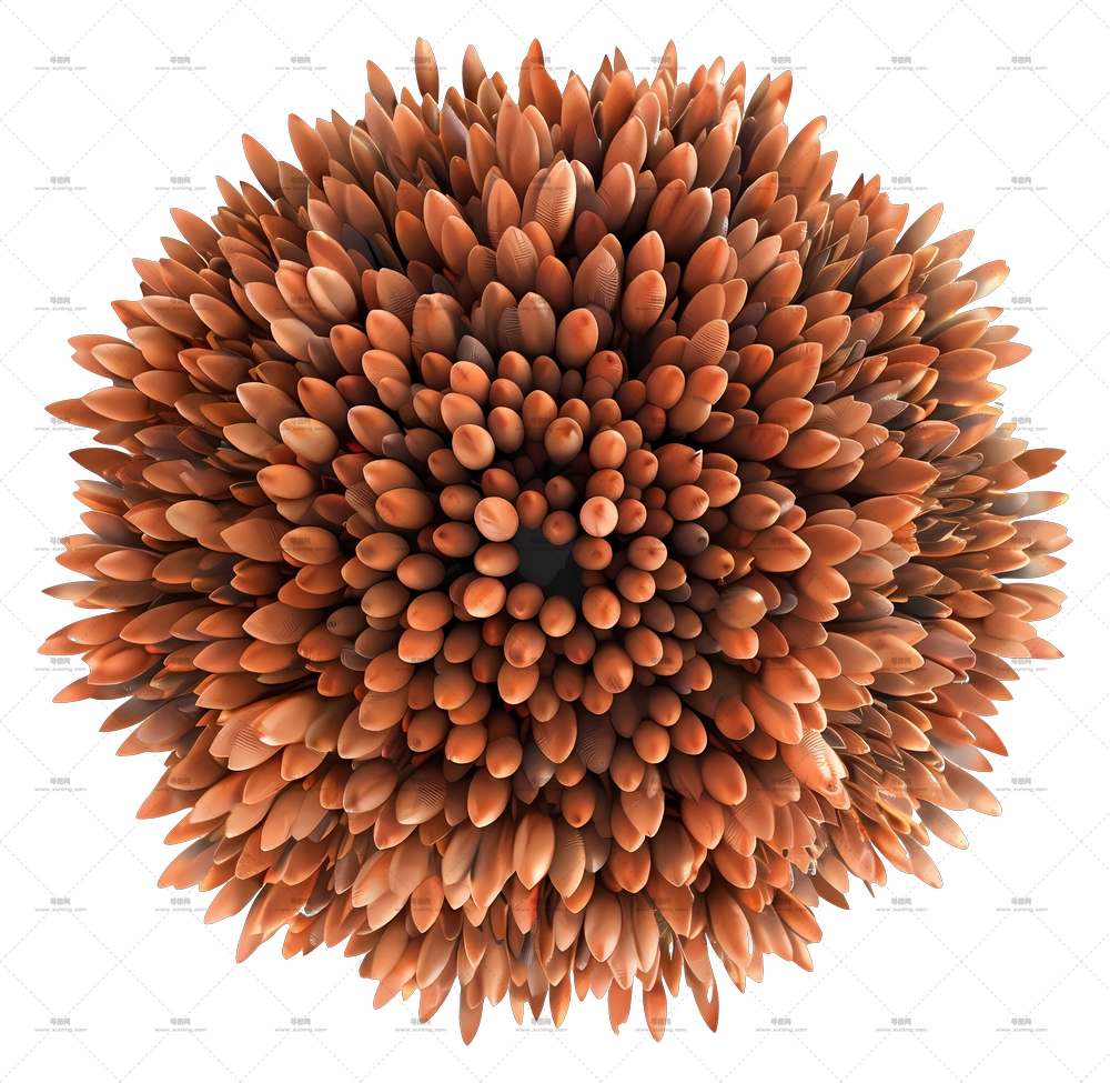 灌木俯视图 – 一束木牙签PNG免抠图预览图