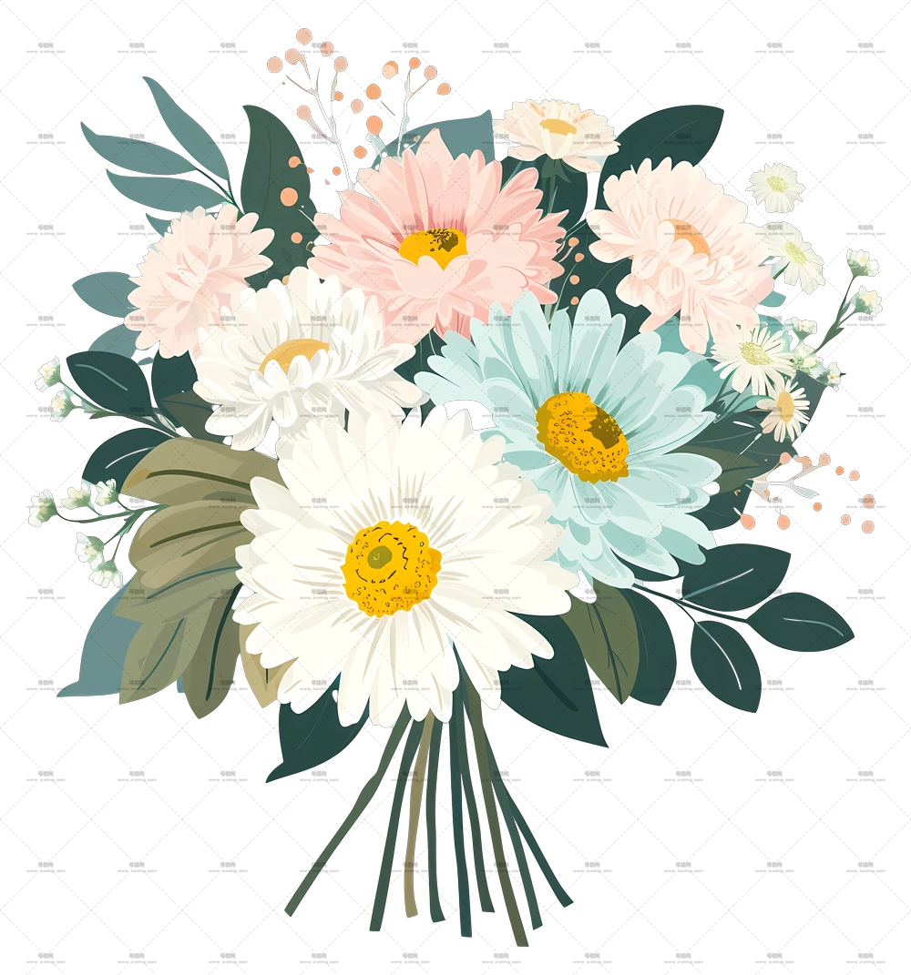 雏菊花 – 雏菊花束PNG免抠图预览图
