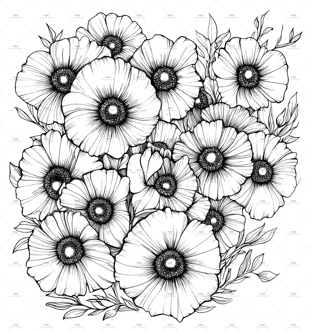 填色页 – 黑白花朵束绘画PNG免抠图预览图