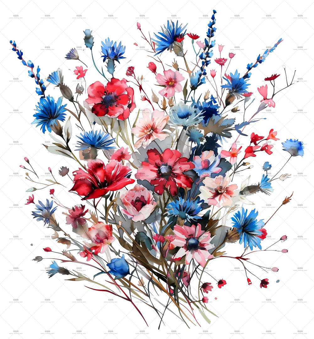 th Of July – 多彩野花束插画PNG免抠图预览图