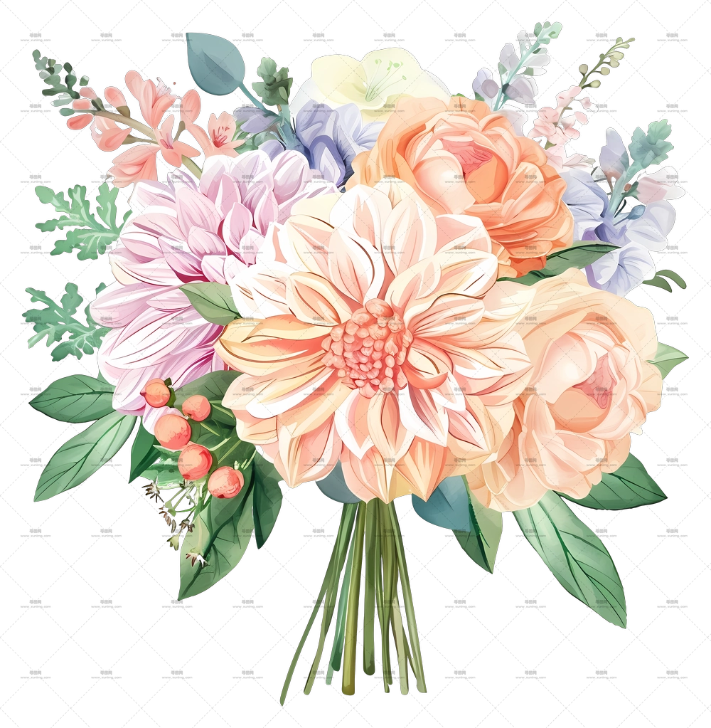 婚礼花卉 – 优雅花束插图PNG免抠图预览图