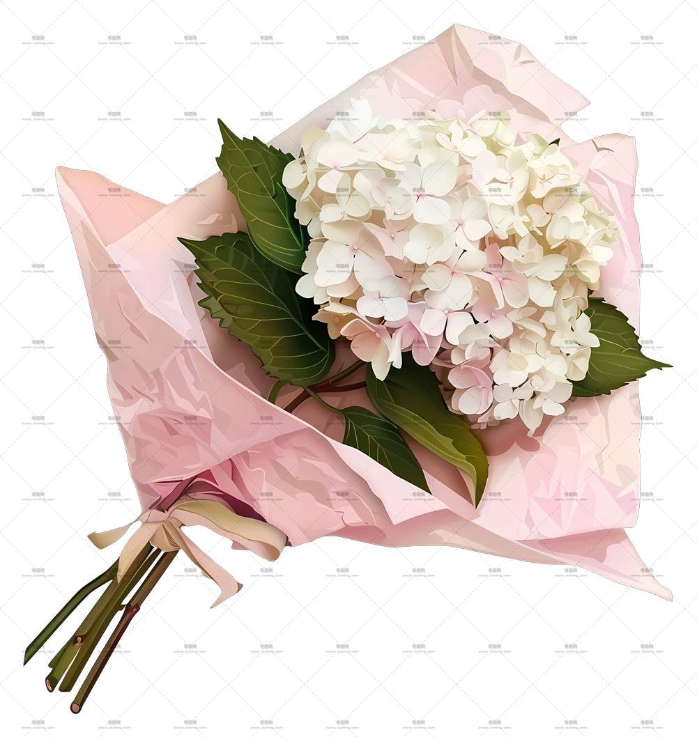 白绣球 – 精美花束,适合送礼PNG免抠图预览图 白绣球 – 精美花束,适合送礼PNG免抠图预览图