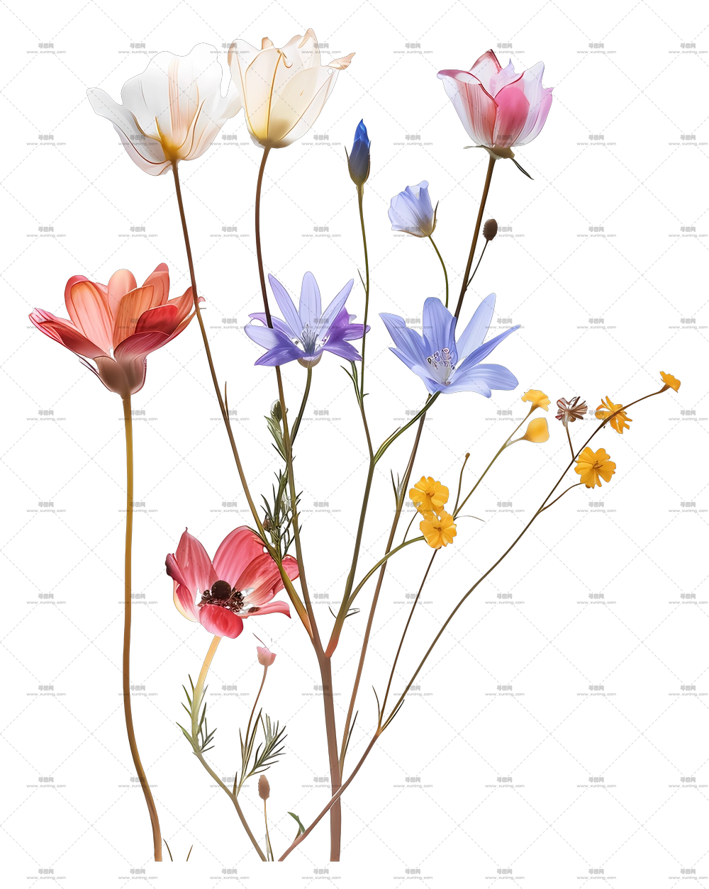 春花 – 淡色调野花束PNG免抠图预览图