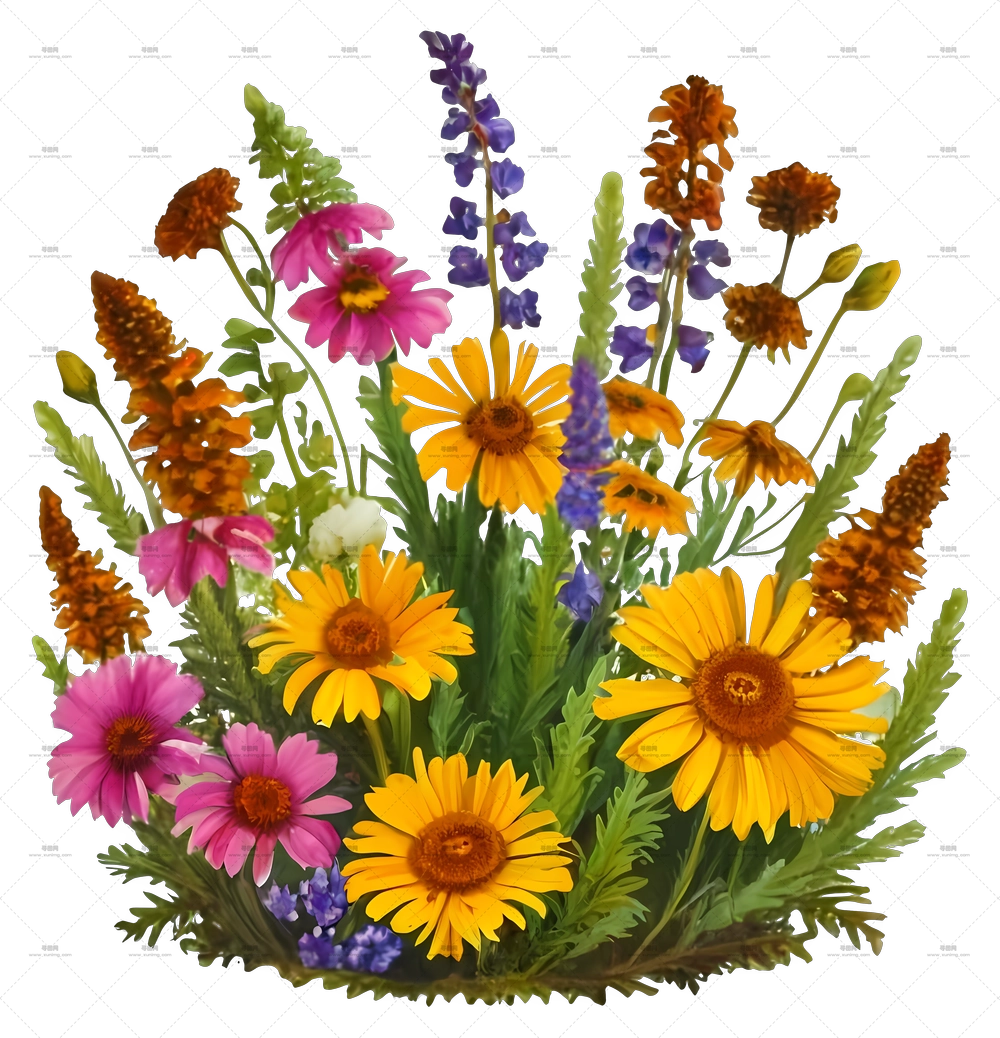 卡通 – 野花束艺术PNG免抠图预览图