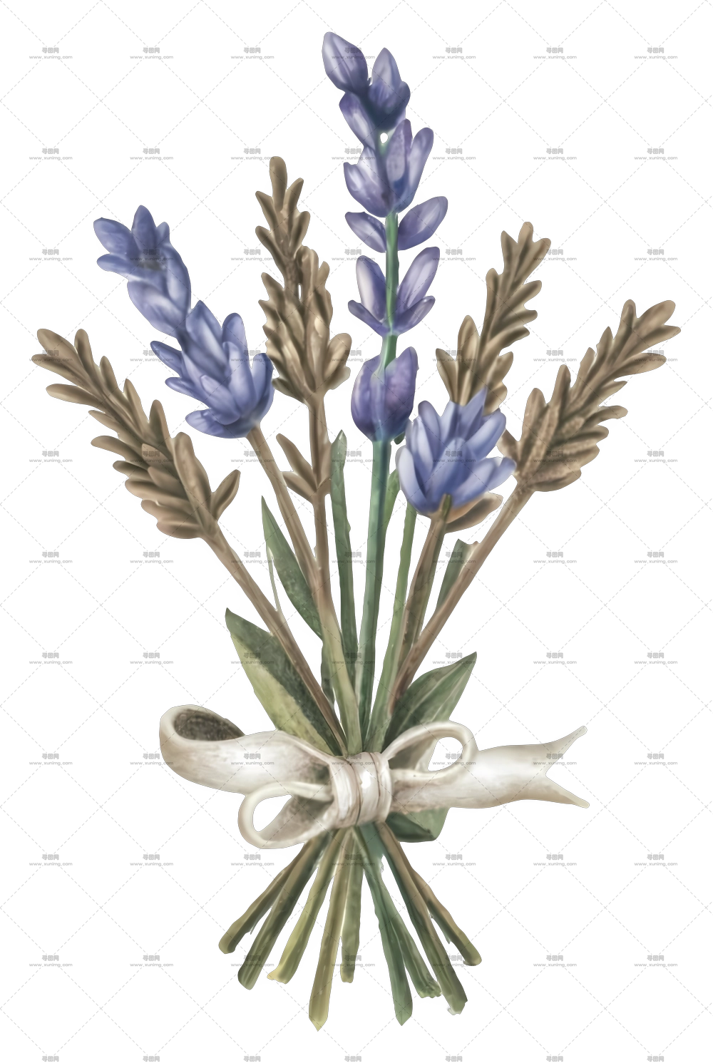 卡通 – 美丽的薰衣草花束插画PNG免抠图预览图