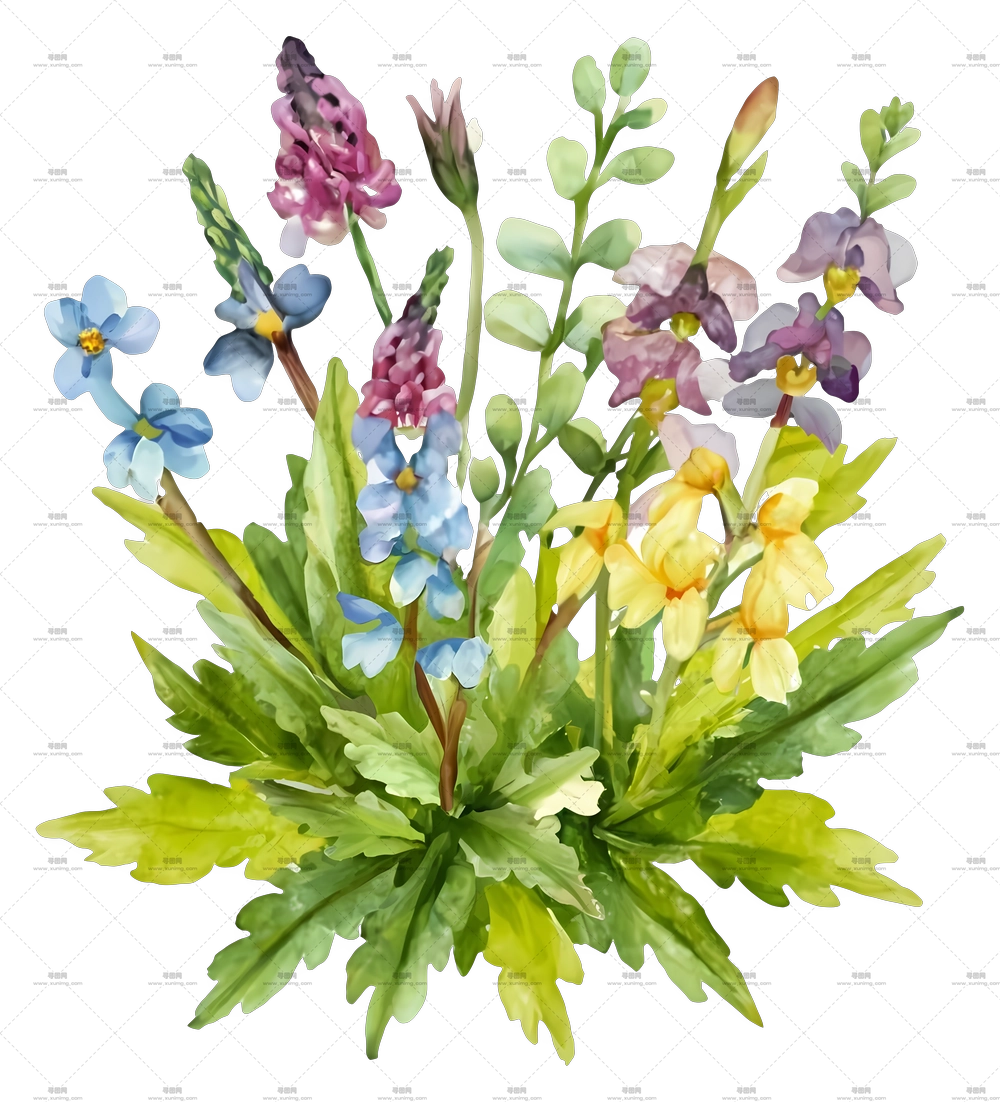 蓝色花朵画作 – 美丽的野生花束PNG免抠图预览图