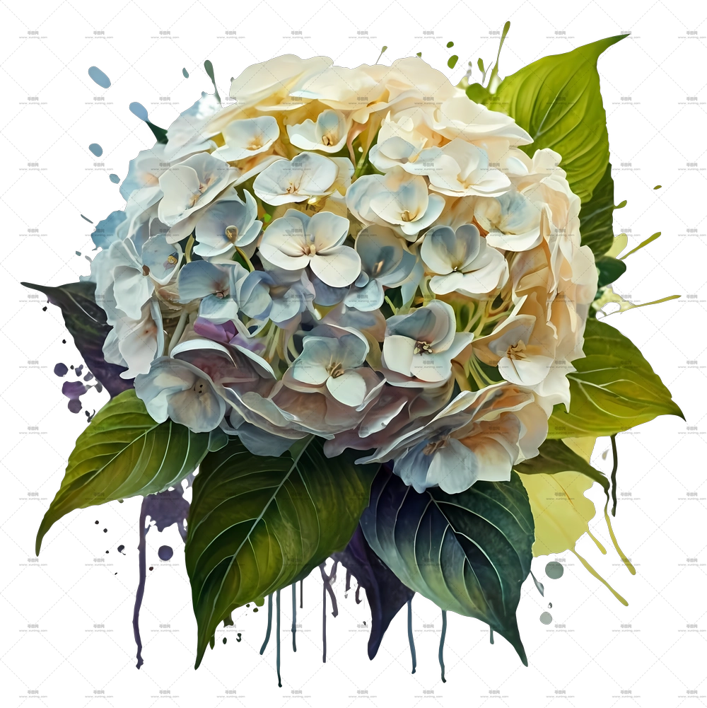 画作 – 美丽绣球花束与叶子PNG免抠图预览图