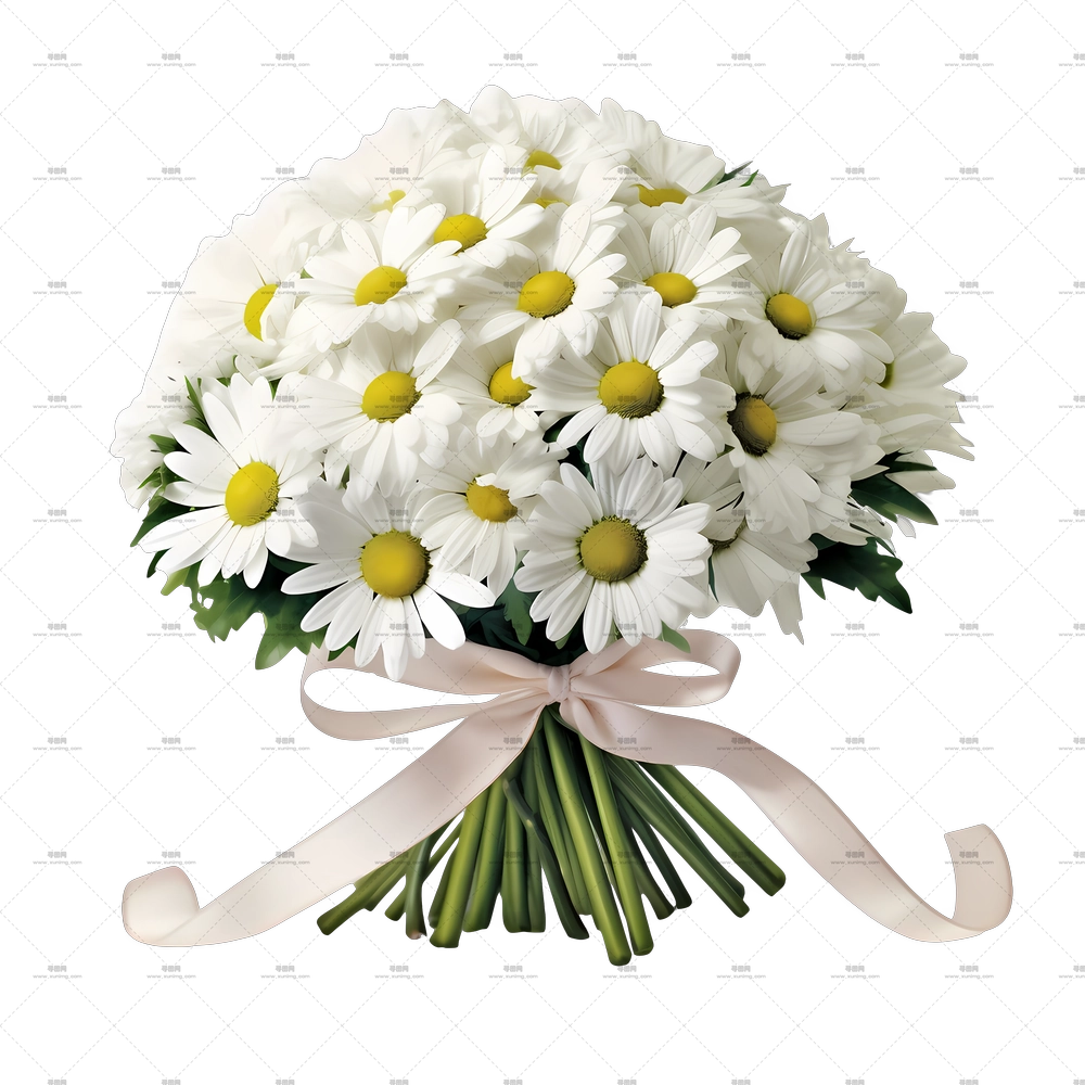 雏菊花 – 白色雏菊花束PNG免抠图预览图