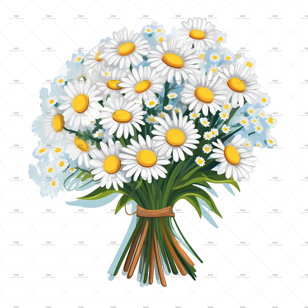 雏菊 – 新鲜雏菊花束插画PNG免抠图预览图