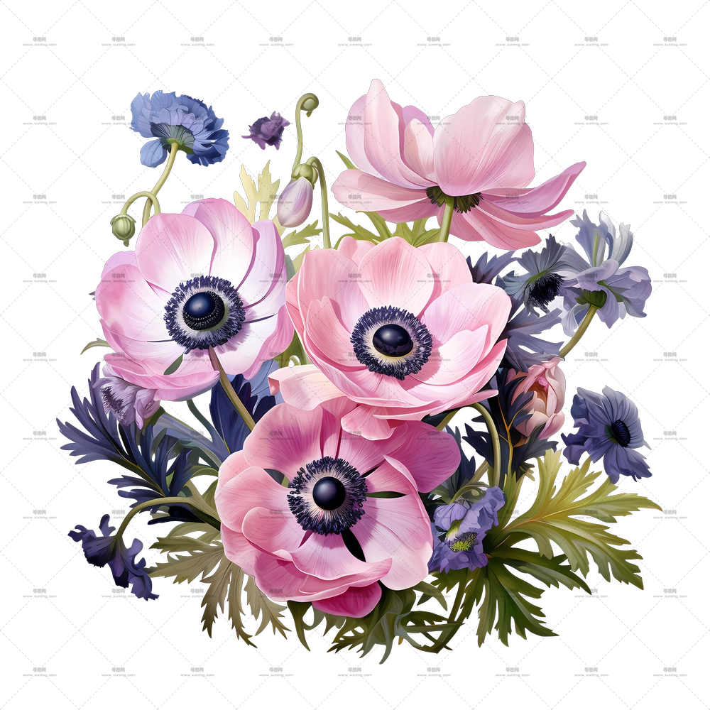 风信子花 – 粉紫花朵的美丽花束PNG免抠图预览图