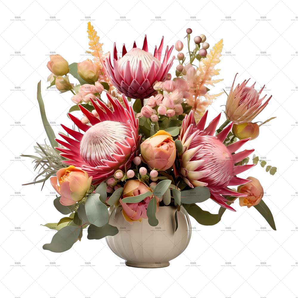 普罗蒂亚花 – 瓶中美丽的花束PNG免抠图预览图