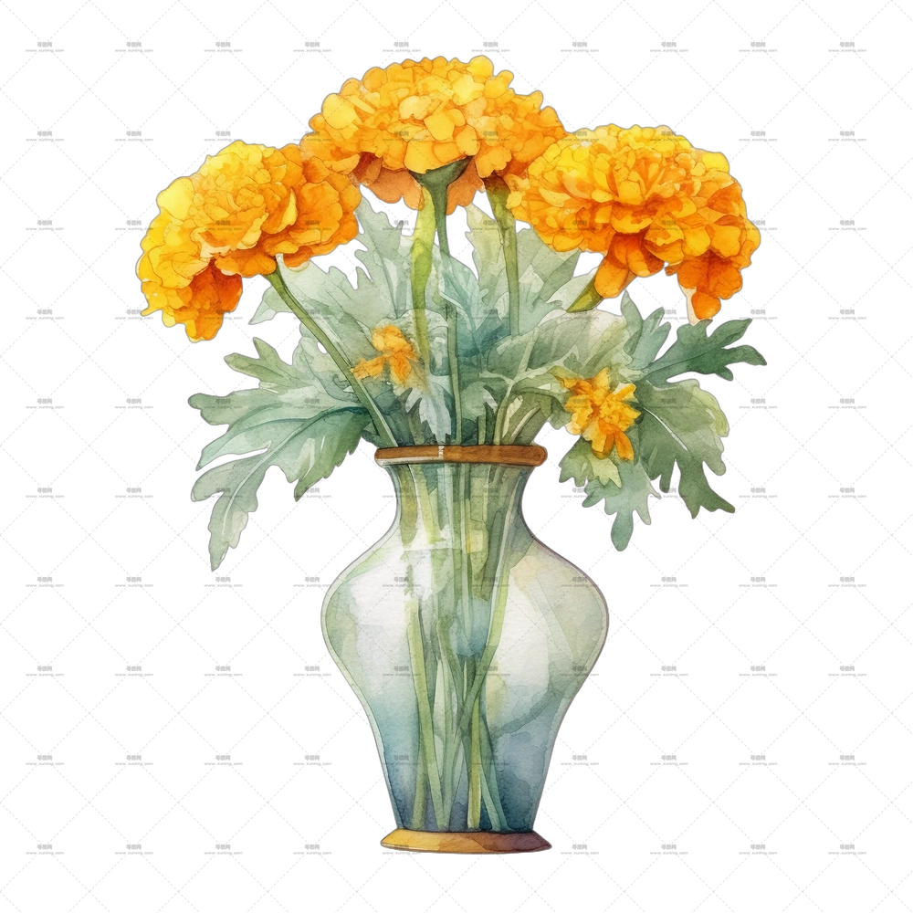 万寿菊 – 装饰明亮万寿菊的花瓶PNG免抠图预览图