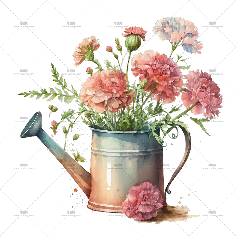 水彩康乃馨 – 水罐中的花束PNG免抠图预览图
