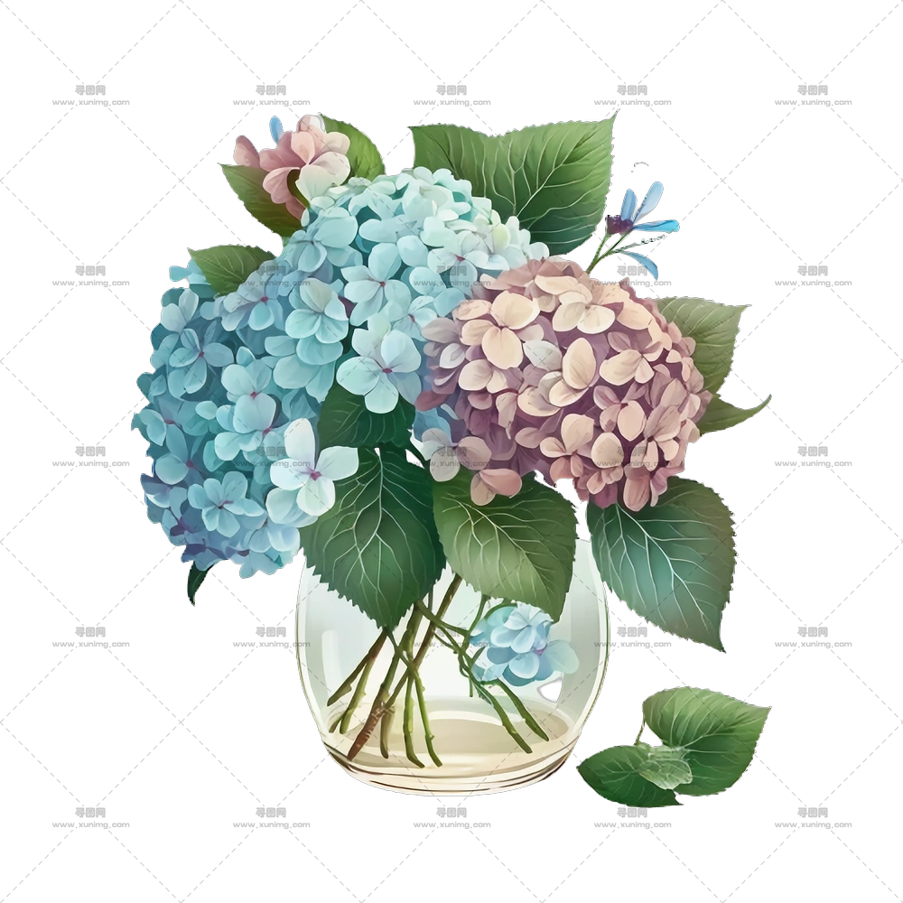 绣球花 – 瓶中的绣球花束PNG免抠图预览图