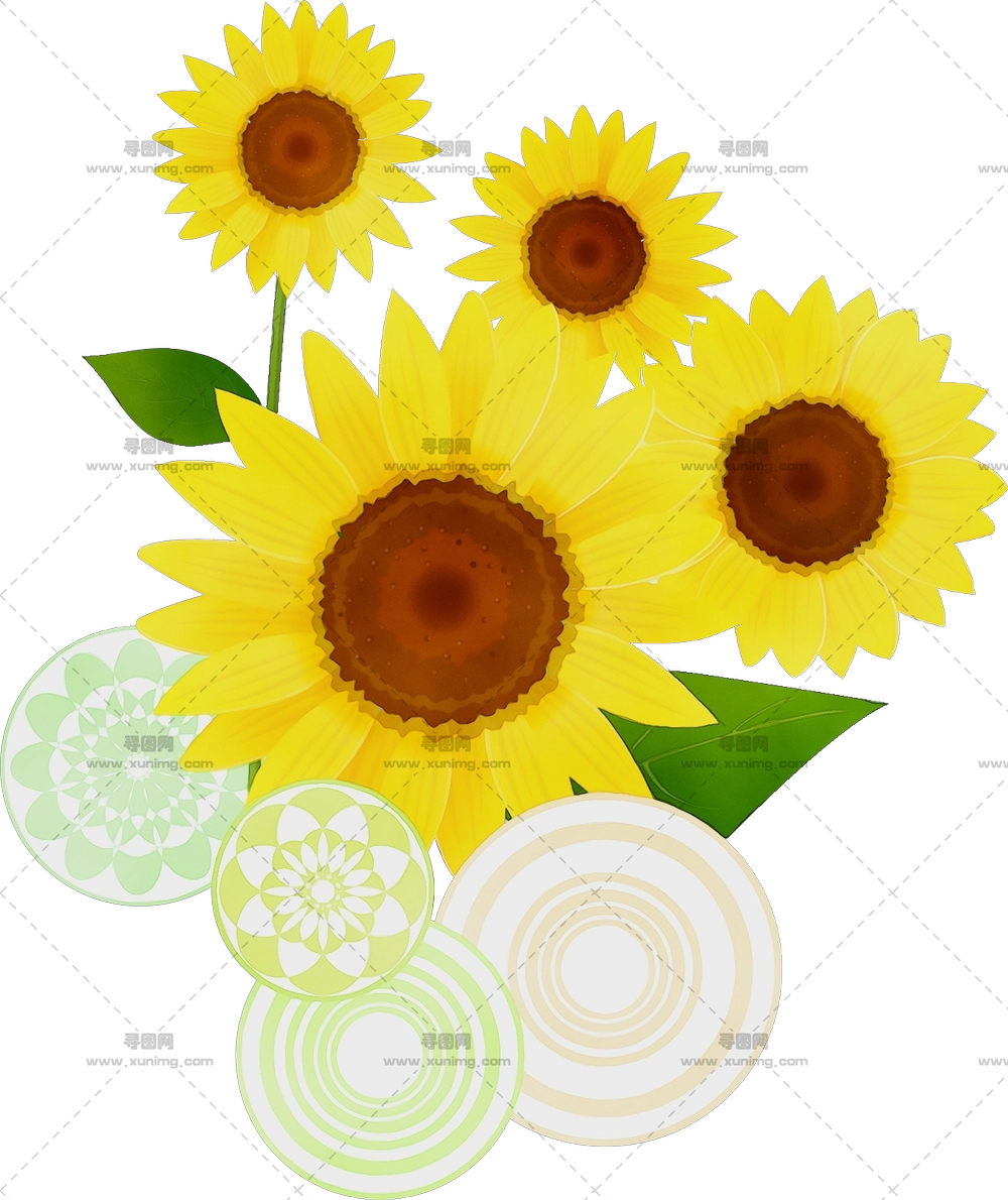 向日葵花束 – 美丽带叶的向日葵花束PNG免抠图预览图