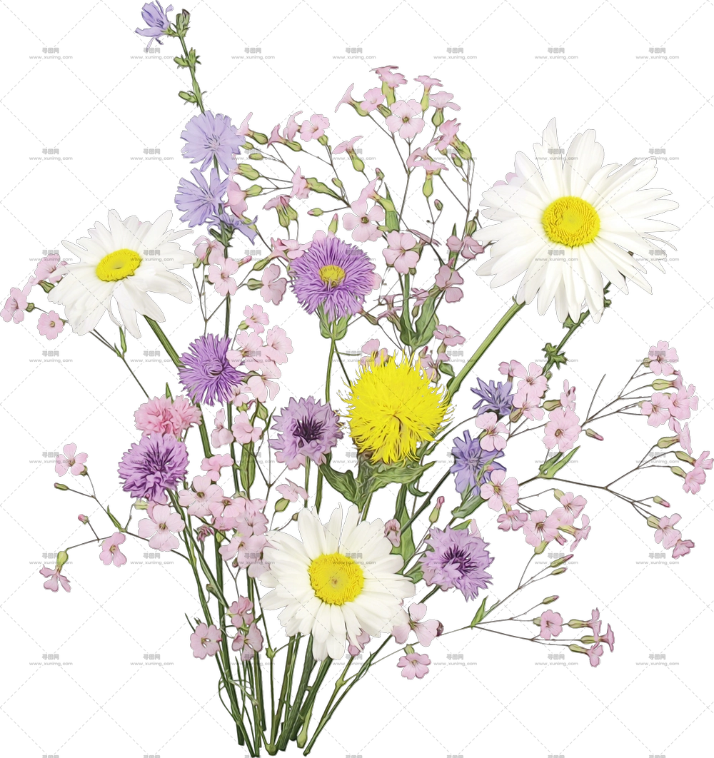 野花花束 – 多种野花组成的野花花束PNG免抠图预览图