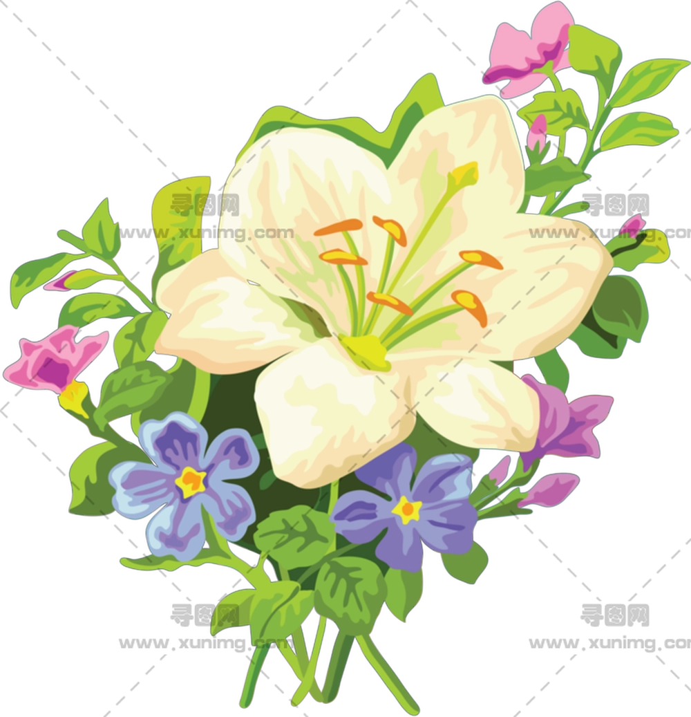 多彩花束PNG免抠图预览图