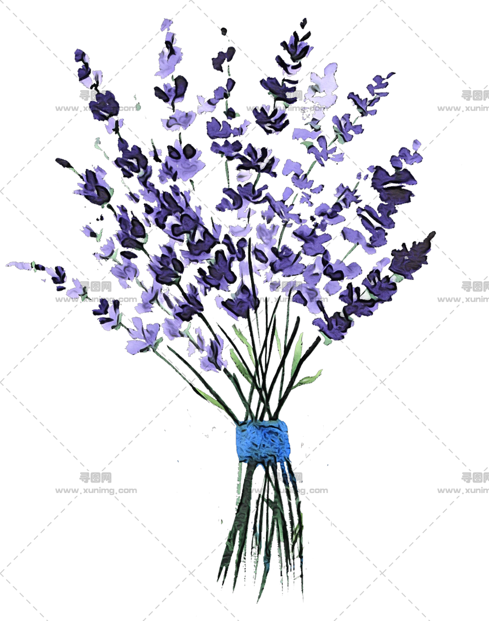 薰衣草花束 – 精美的薰衣草花束插画PNG免抠图预览图