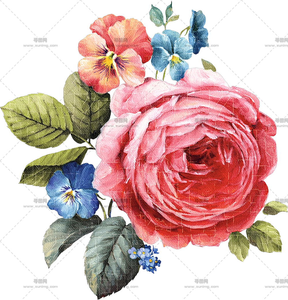 美丽的花束,带有玫瑰和三色堇PNG免抠图预览图 美丽的花束,带有玫瑰和三色堇PNG免抠图预览图