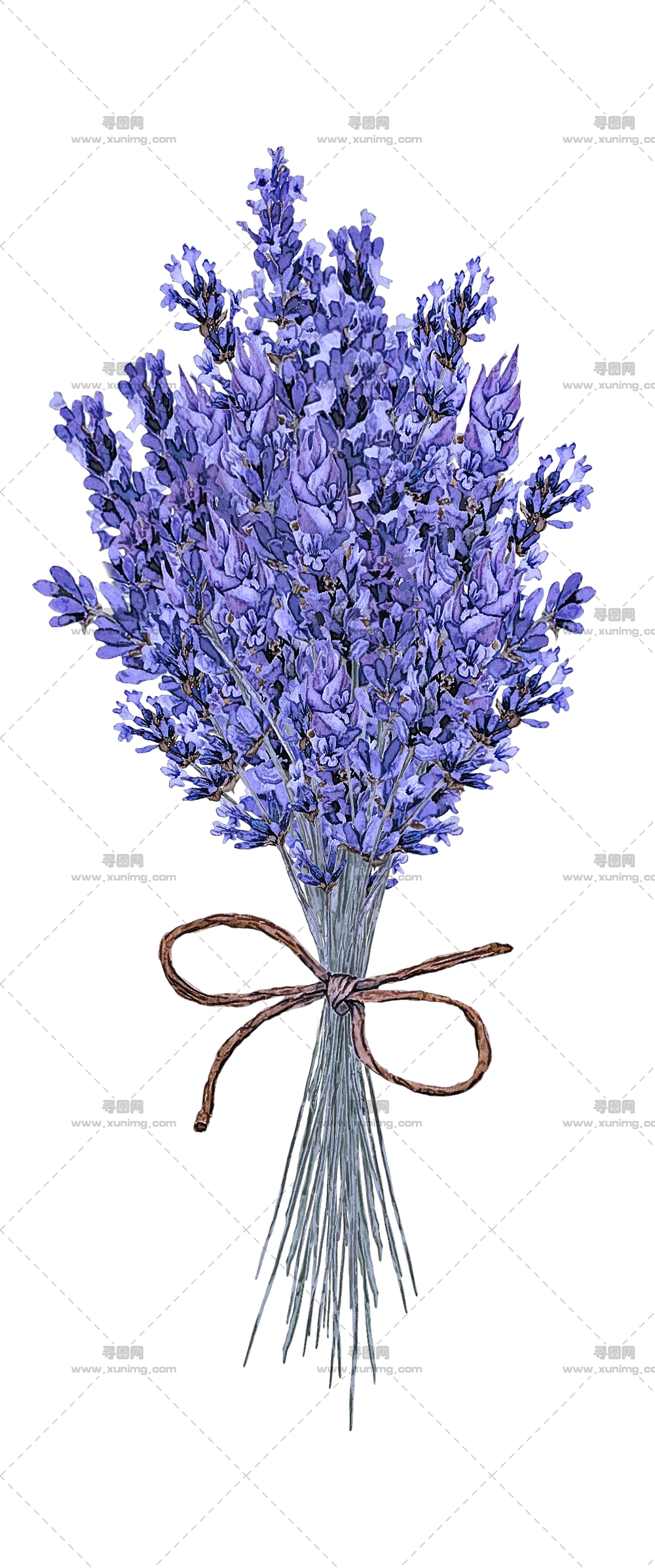 薰衣草花束 – 美丽的薰衣草花束，带有乡村风格的花束PNG免抠图预览图