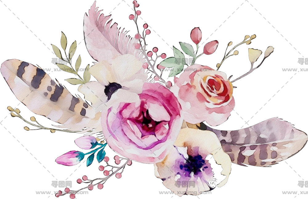 美丽羽毛花束PNG免抠图预览图