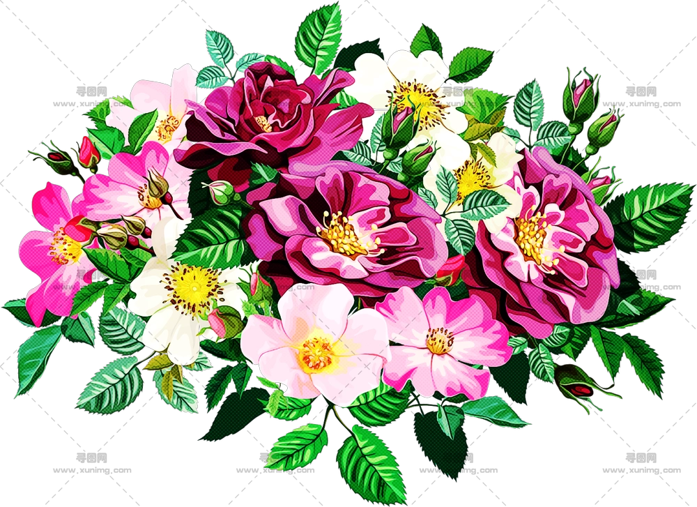 多彩花束PNG免抠图预览图