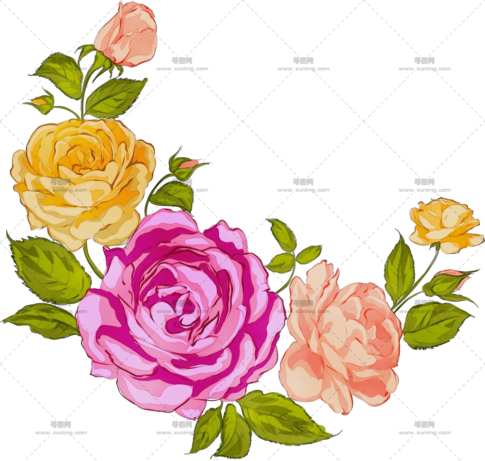 玫瑰花束 – 多彩花朵美丽玫瑰花束PNG免抠图预览图