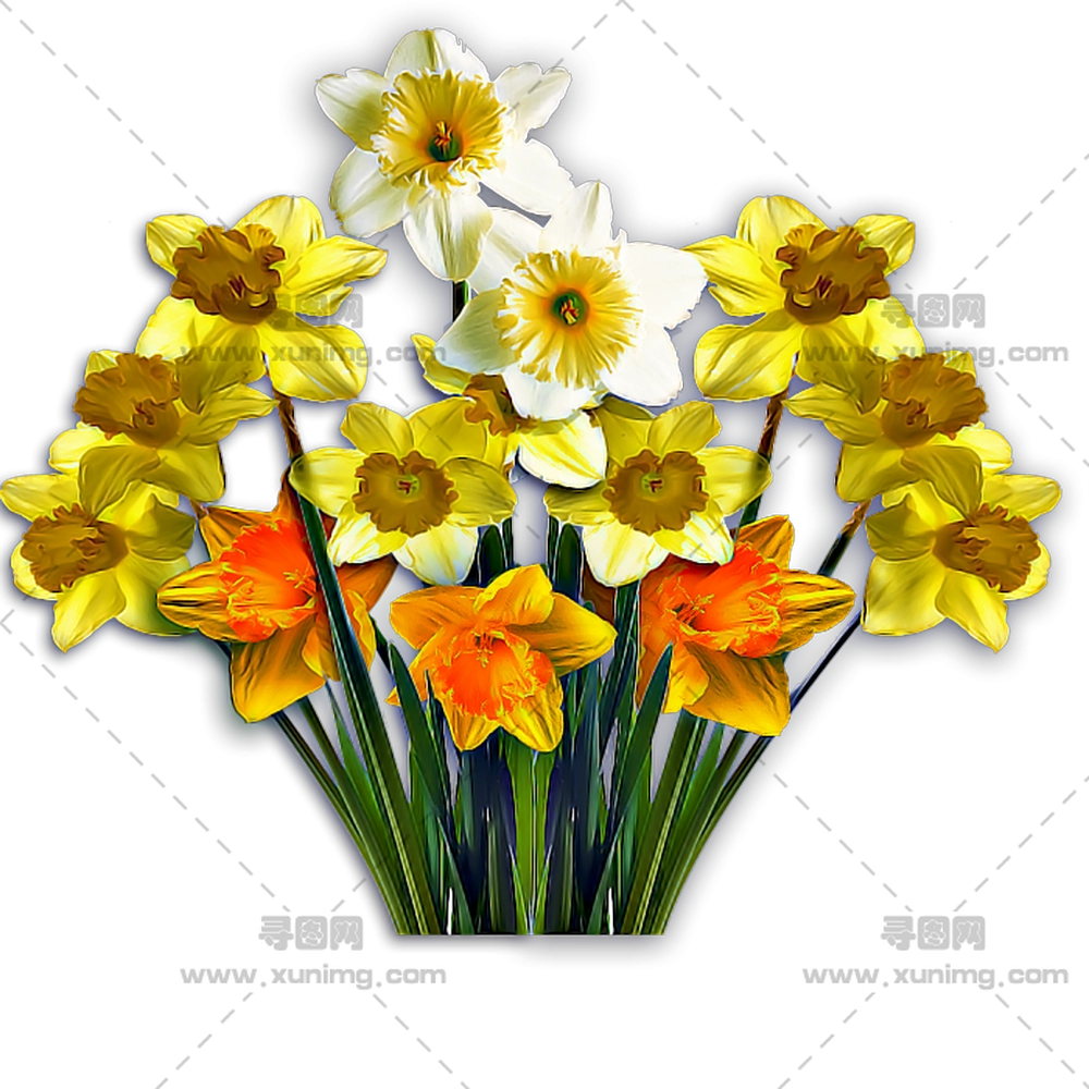郁金香花束 – 明亮的郁金香花束插画PNG免抠图预览图