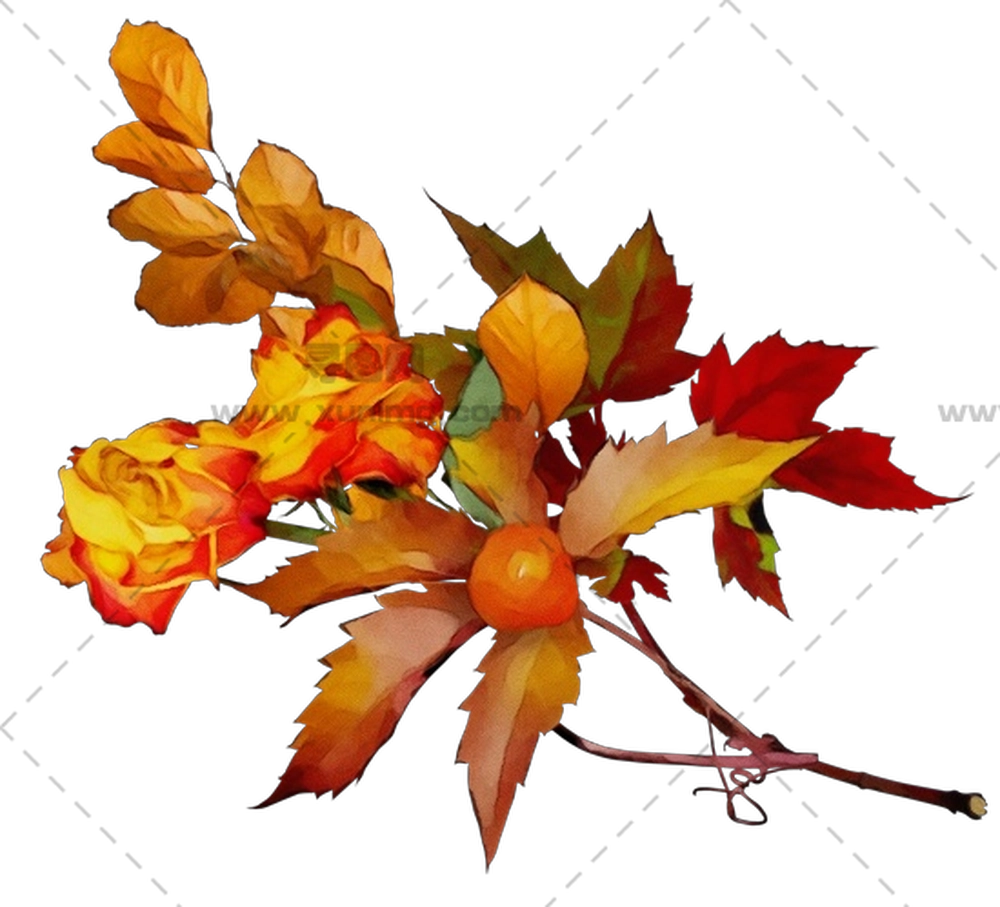 秋季花束 – 主题为秋天的秋季花束PNG免抠图预览图
