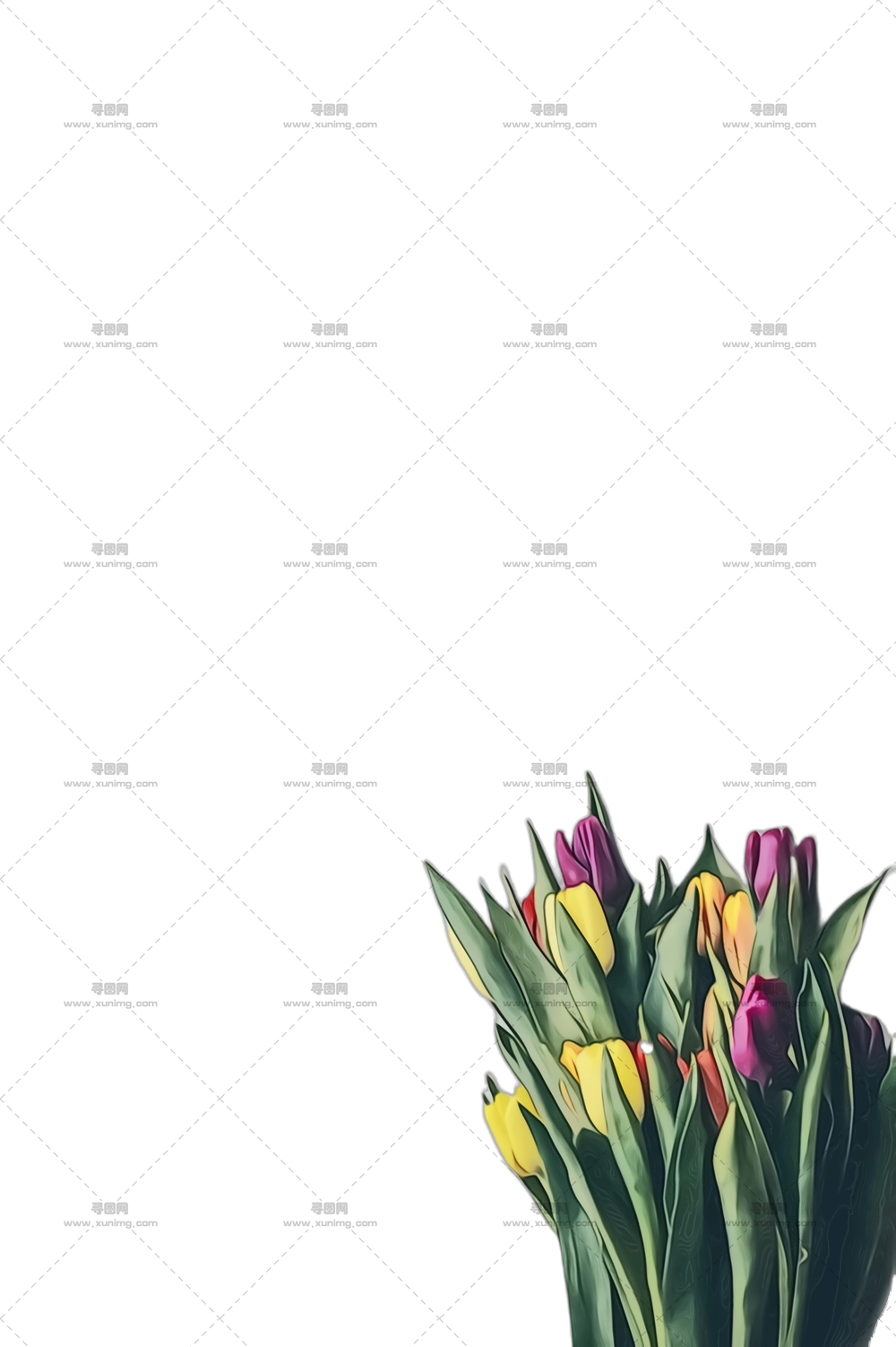 郁金香花束 – 精美的多色郁金香花束PNG免抠图预览图