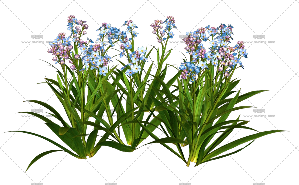 多彩的春花PNG免抠图预览图 多彩的春花PNG免抠图预览图