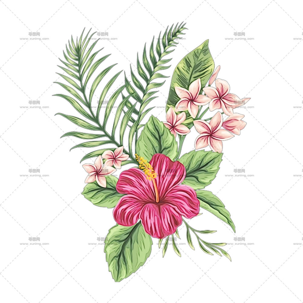 带有木槿插画的鲜花束PNG免抠图预览图