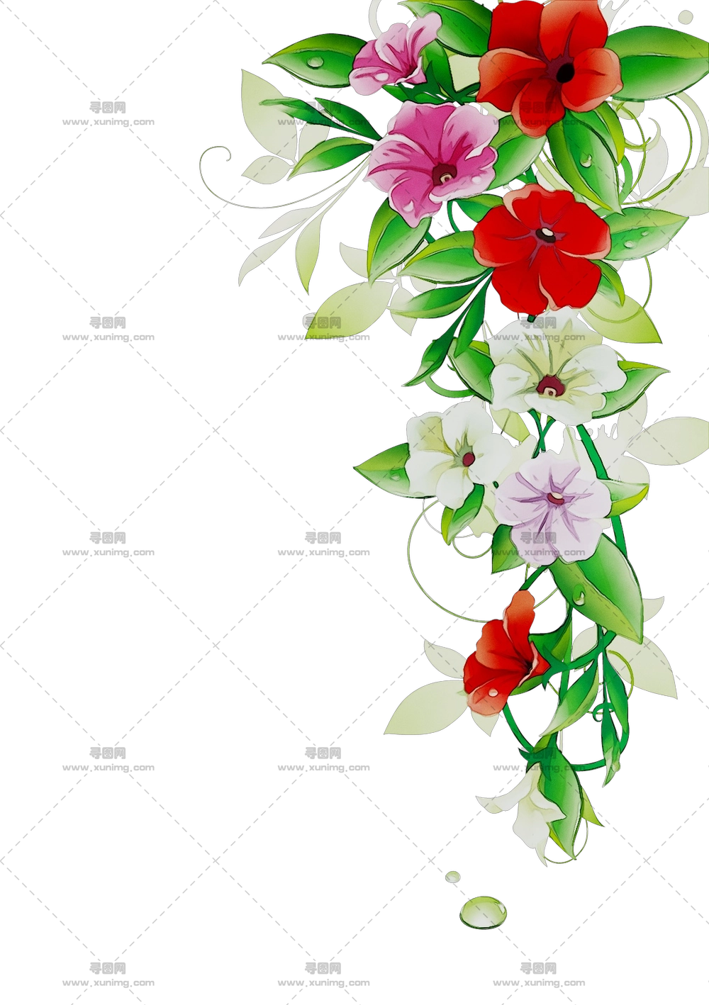 多彩花束插画PNG免抠图预览图
