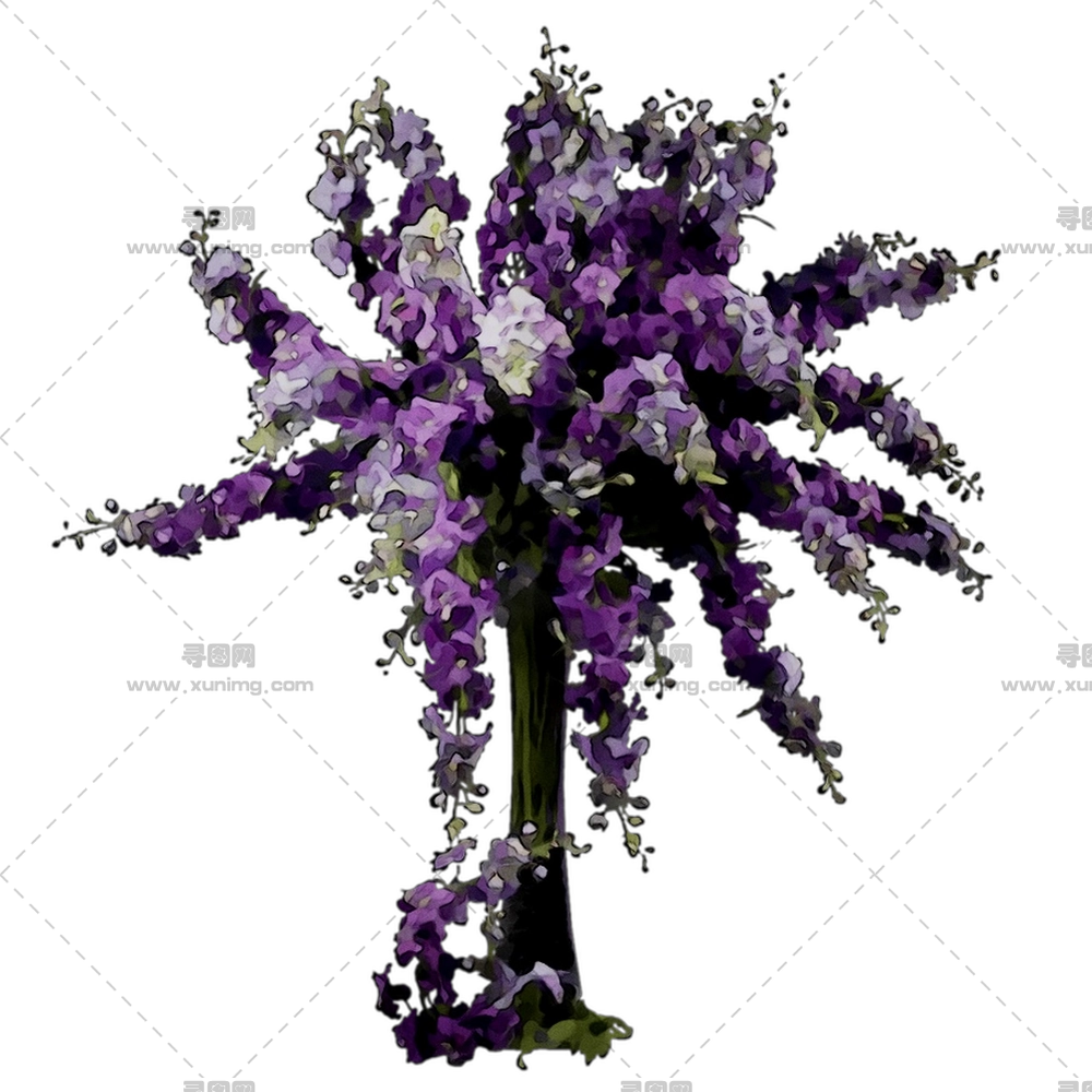 紫罗兰花束 – 瓶中紫色花卉花束PNG免抠图预览图