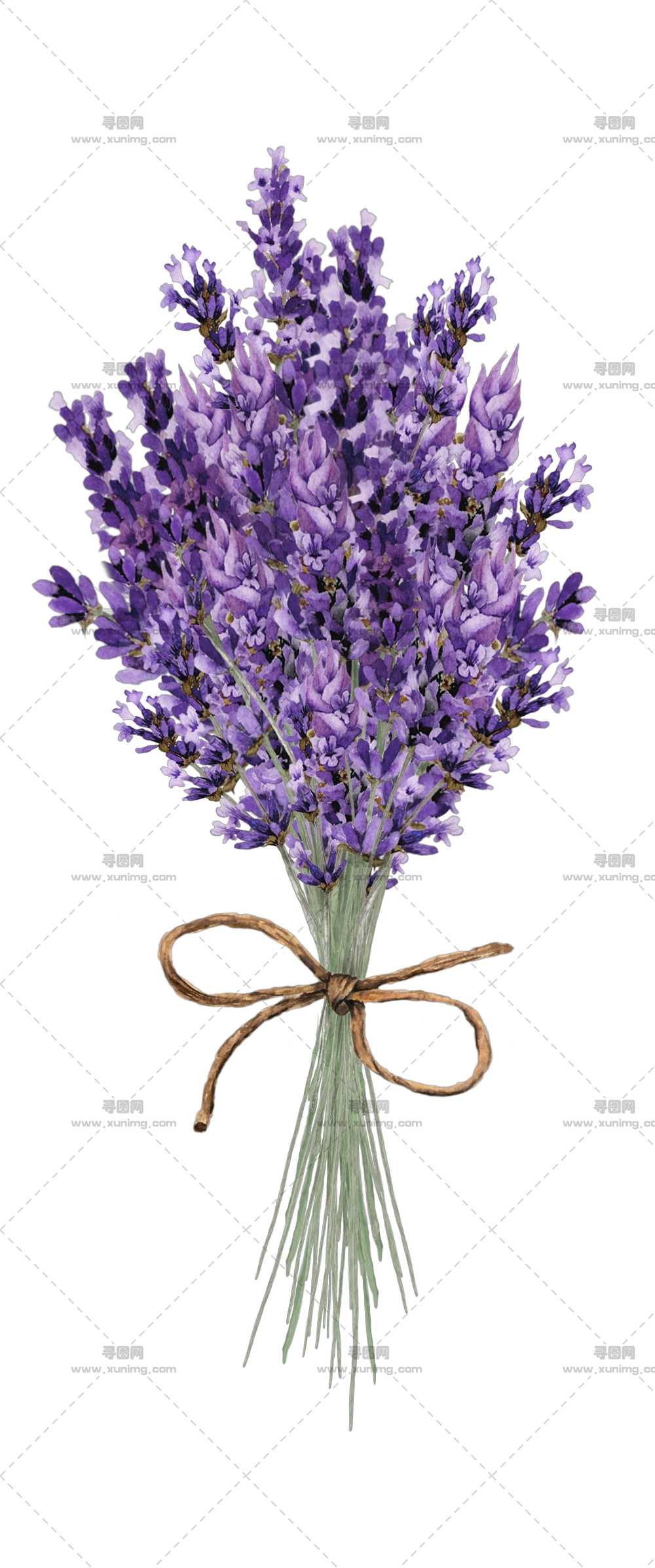 薰衣草花束 – 薰衣草花束PNG免抠图预览图