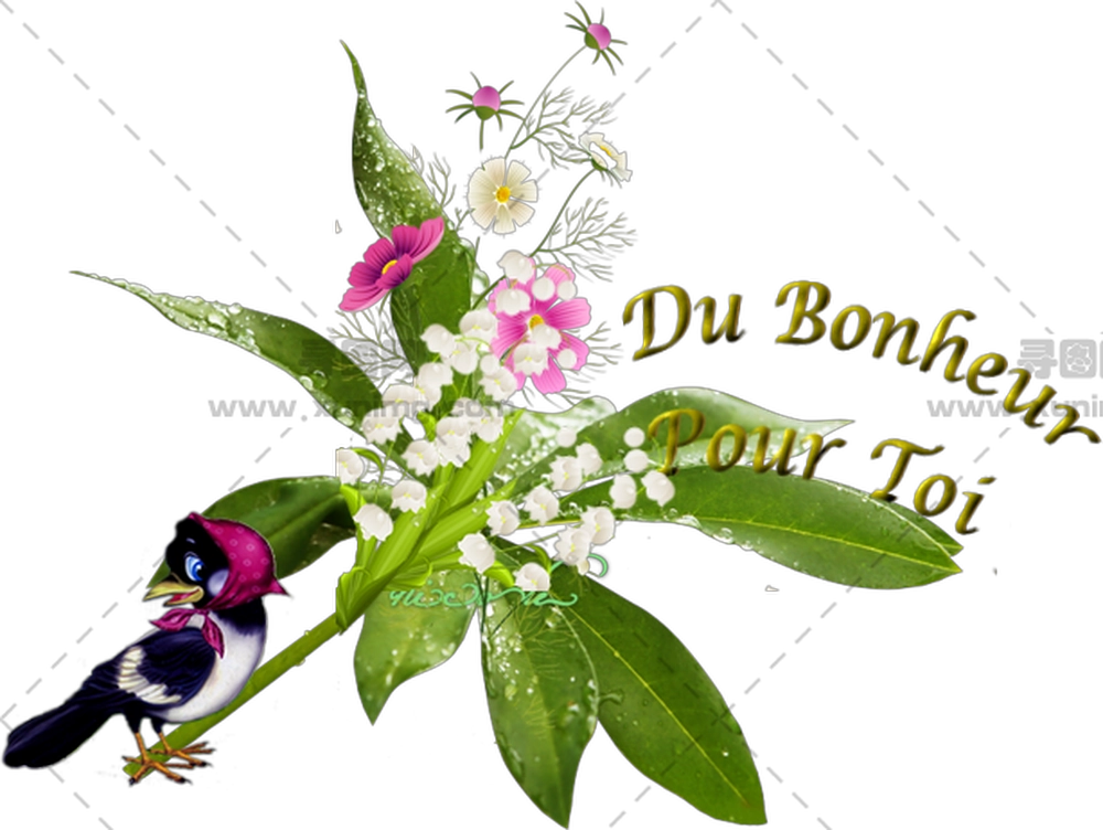 带有鸟和文字的花束PNG免抠图预览图