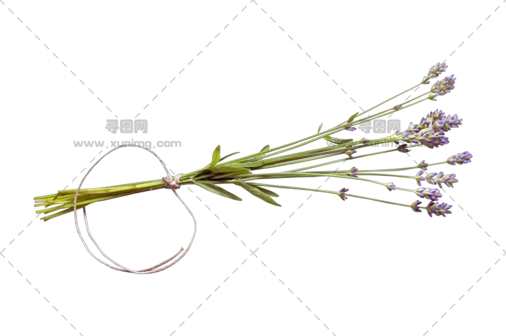 薰衣草花束 – 薰衣草花束PNG免抠图预览图